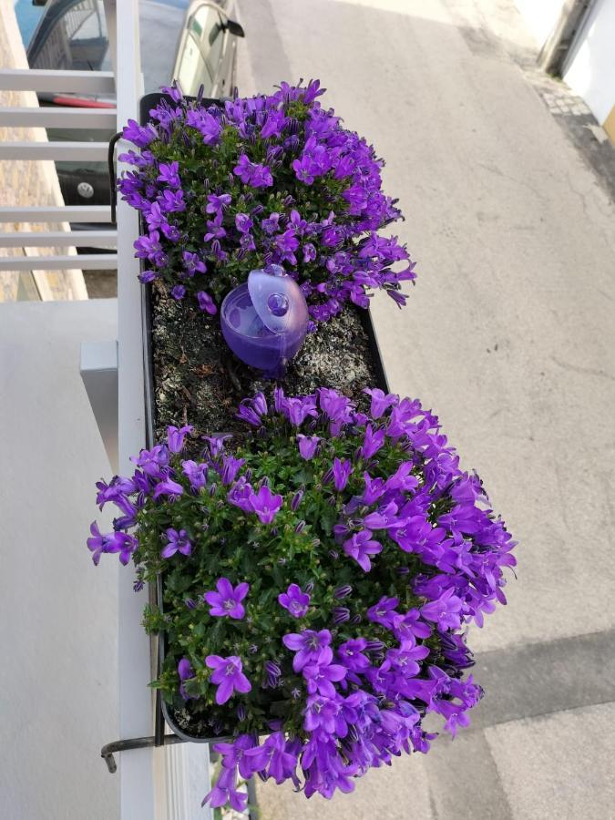 Вилла The Violet House Кошта-Нова Экстерьер фото