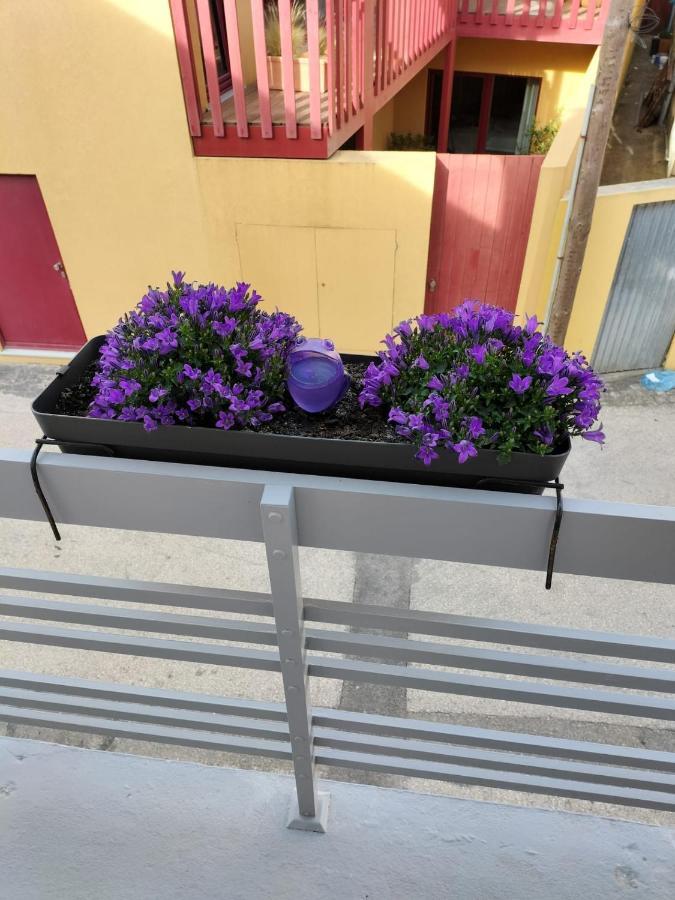 Вилла The Violet House Кошта-Нова Экстерьер фото