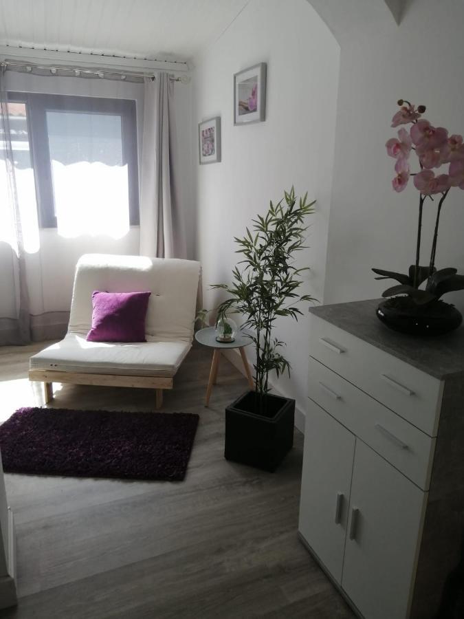 Вилла The Violet House Кошта-Нова Экстерьер фото